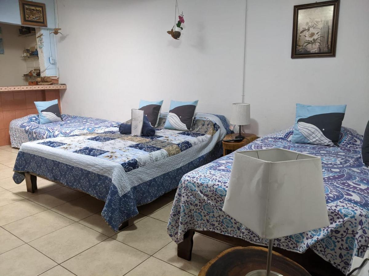 Guesthouse Casa Lapa2 Alajuela Ngoại thất bức ảnh