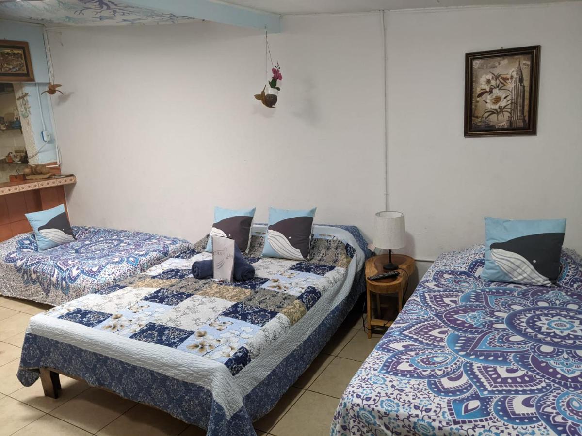Guesthouse Casa Lapa2 Alajuela Ngoại thất bức ảnh